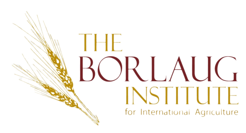 Borlaug Institute
