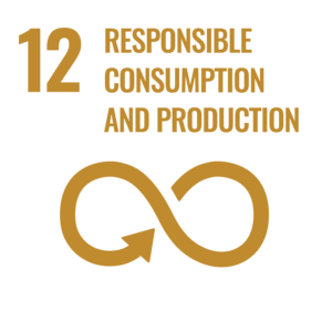 SDG_Icons_Inverted_Transparent_WEB-12